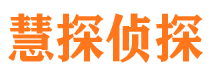 东方市侦探公司